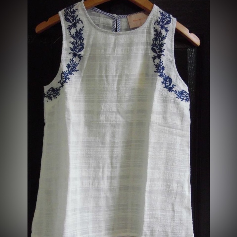 Skies Are Blue Tank